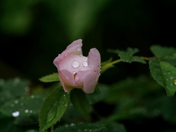 Conseils et astuces pratiques pour votre maison avec Ambition Habitat