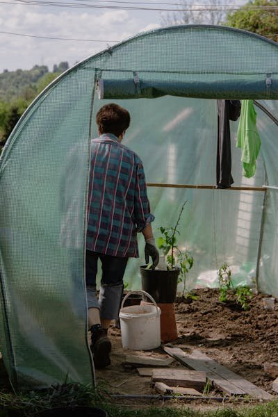 Tout savoir pour choisir la meilleure bâche pour serre efficace